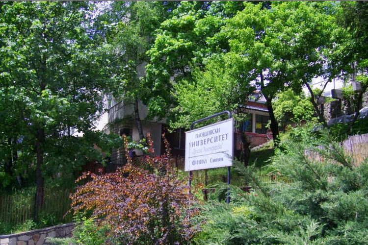 Започна онлайн прием на документи за кандидатстване във филиала на ПУ в Смолян