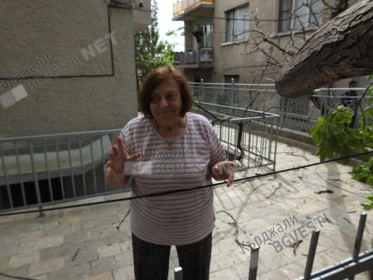 Орех се разцепи в кв. „Байкал”,  огромен клон се стовари между две къщи/снимки/