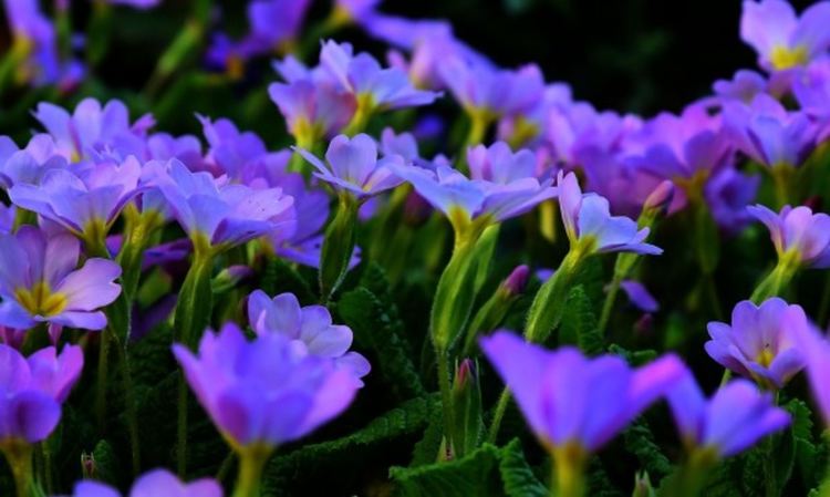 Облачно във вторник