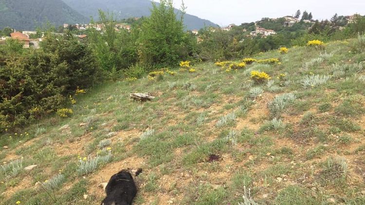 снимки: фейсбук