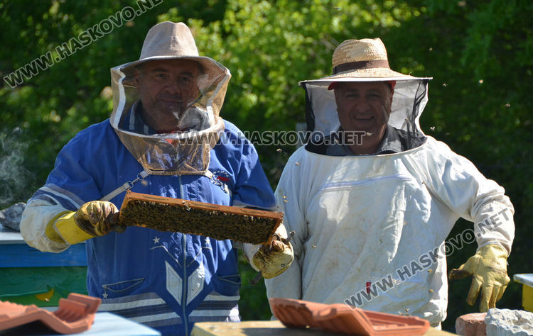 Ден на пчелата: Хасковски пчелари очакват добра реколта