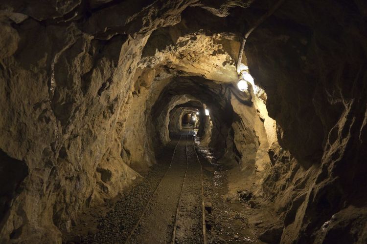 Укрепват земята под Перник