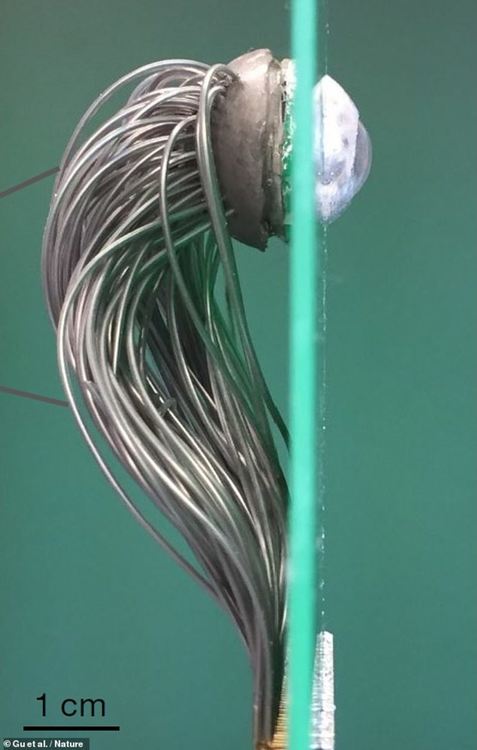 Бионични очи дават надежда на милиони незрящи по света