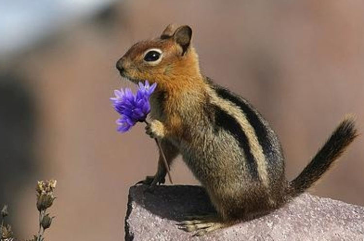  Облачно в петък