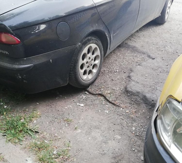 снимки: Фейсбук