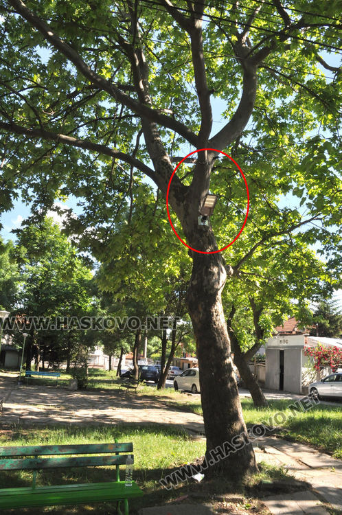 Деца боядисаха съоръженията на детска площадка, вече има осветление