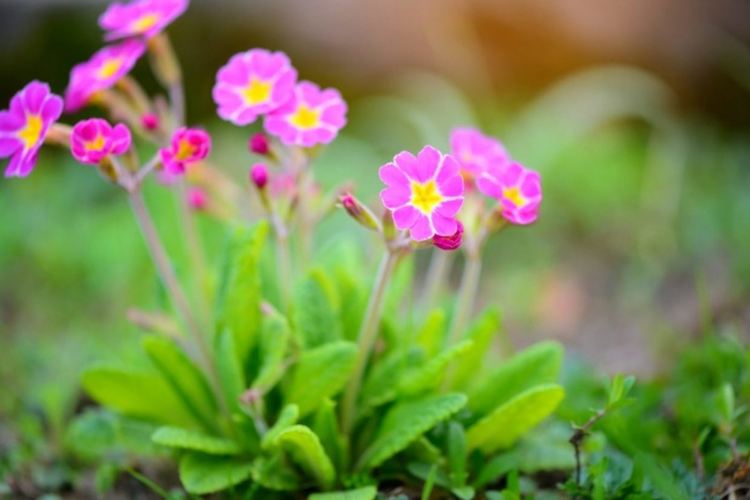 Повишаване на температурите, но облачно време днес
