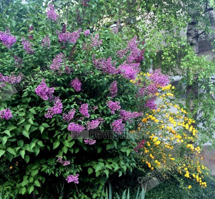 Слънчево, ветровито и с дъжд на 24 май