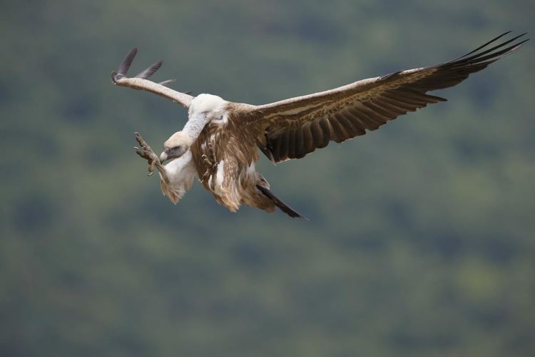 Снимка: Богдан Боев