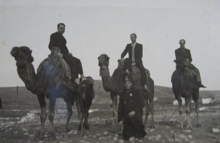 Камиларството било поминък в Тополовград 