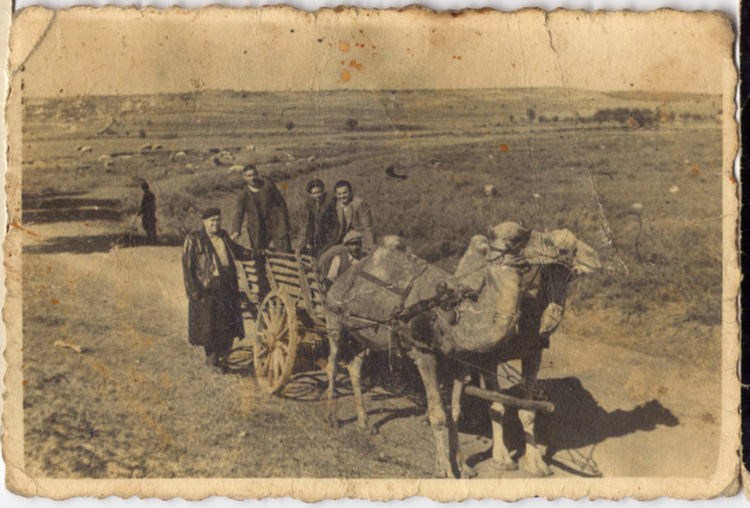 Камиларството било поминък в Тополовград 