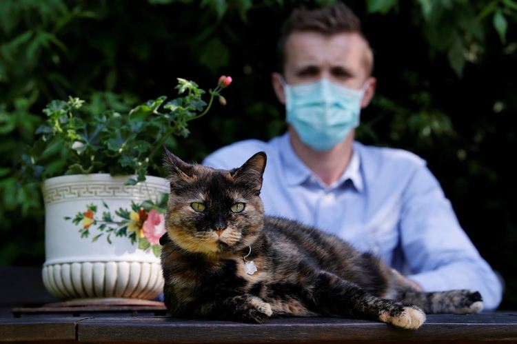 Котката Папий оздравя от COVID-19