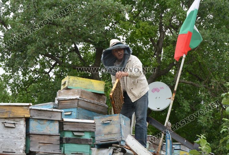 Хасковлия иска да кандидатства за Гинес с голяма пита с мед