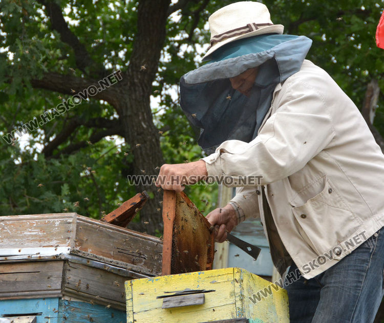 Хасковлия иска да кандидатства за Гинес с голяма пита с мед