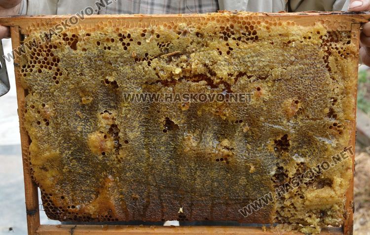 Хасковлия иска да кандидатства за Гинес с голяма пита с мед