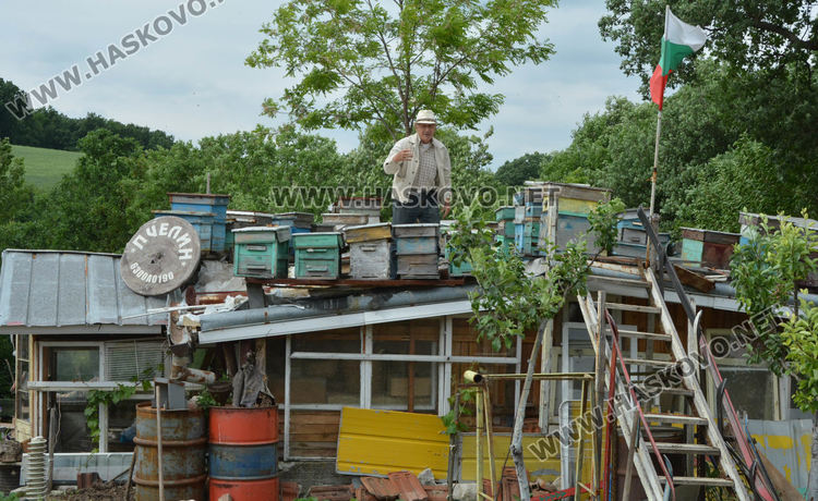 Хасковлия иска да кандидатства за Гинес с голяма пита с мед