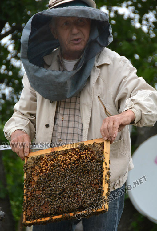 Хасковлия иска да кандидатства за Гинес с голяма пита с мед