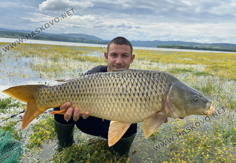 Делчо Кутелов