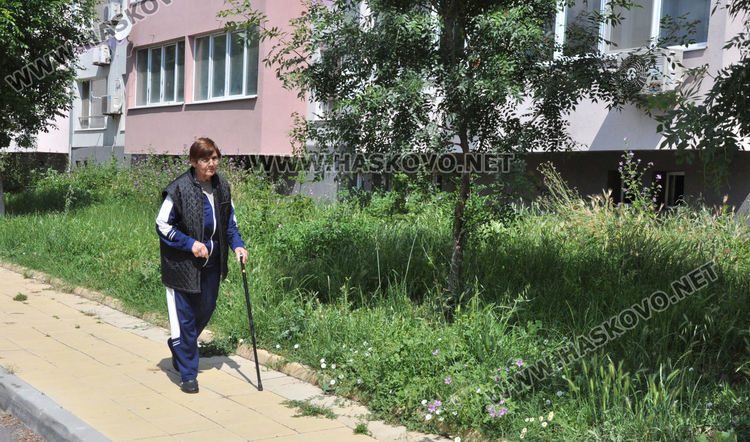 В „Орфей“ се жалват от змии и неокосени треви