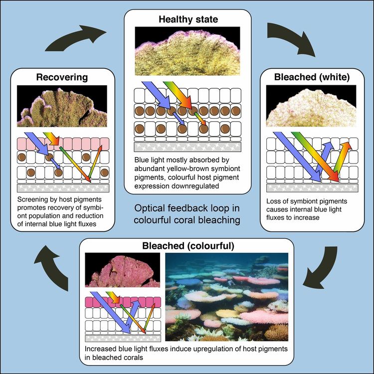 Прокуратурата е иззела още артефакти от офисите на Васил Божков