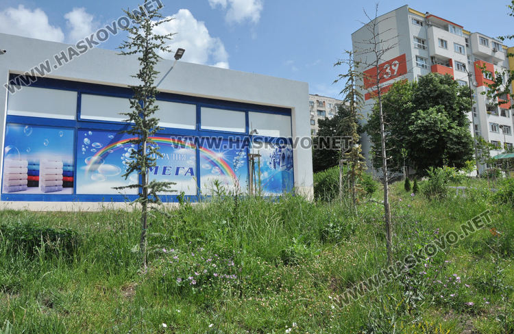 В „Орфей“ се жалват от змии и неокосени треви