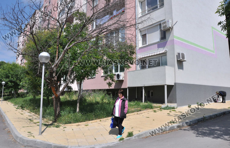 В „Орфей“ се жалват от змии и неокосени треви