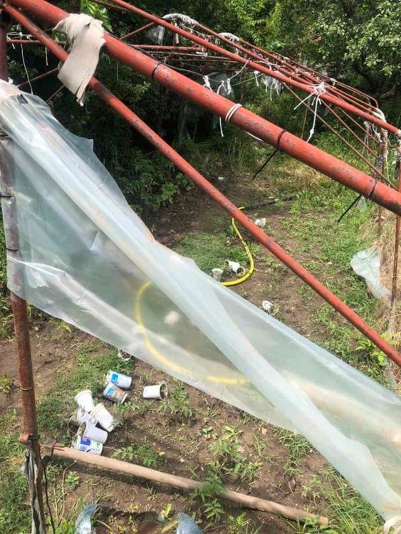 Арестуваха мъж, отглеждал марихуана в Орлово