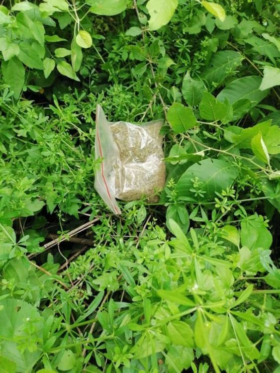 Арестуваха мъж, отглеждал марихуана в Орлово