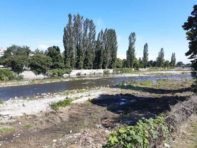 Изчистиха 4 километра речно корито с 21 хил. лв.