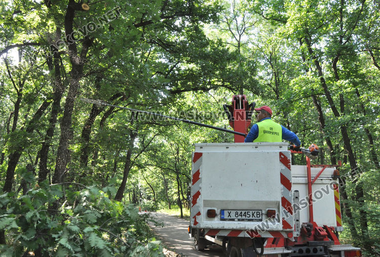 Служители на „Екопрогрес“ рязаха опасни клони и сухи дървета в „Кенана“