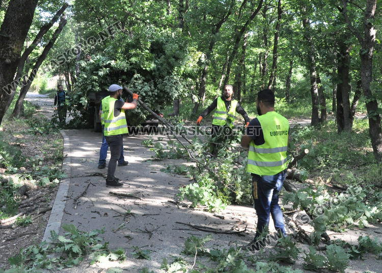 Служители на „Екопрогрес“ рязаха опасни клони и сухи дървета в „Кенана“