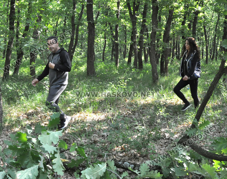 Служители на „Екопрогрес“ рязаха опасни клони и сухи дървета в „Кенана“