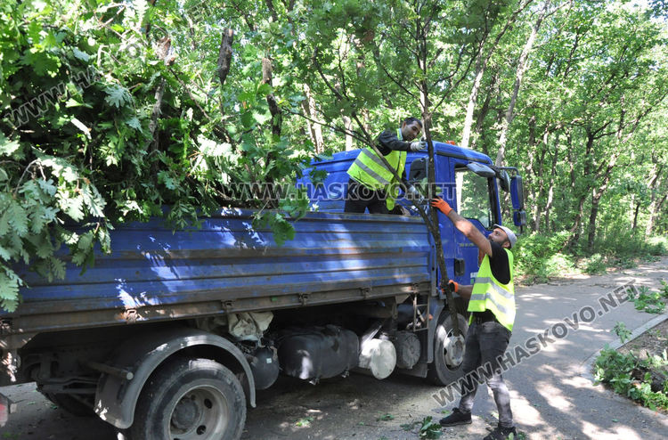 Служители на „Екопрогрес“ рязаха опасни клони и сухи дървета в „Кенана“