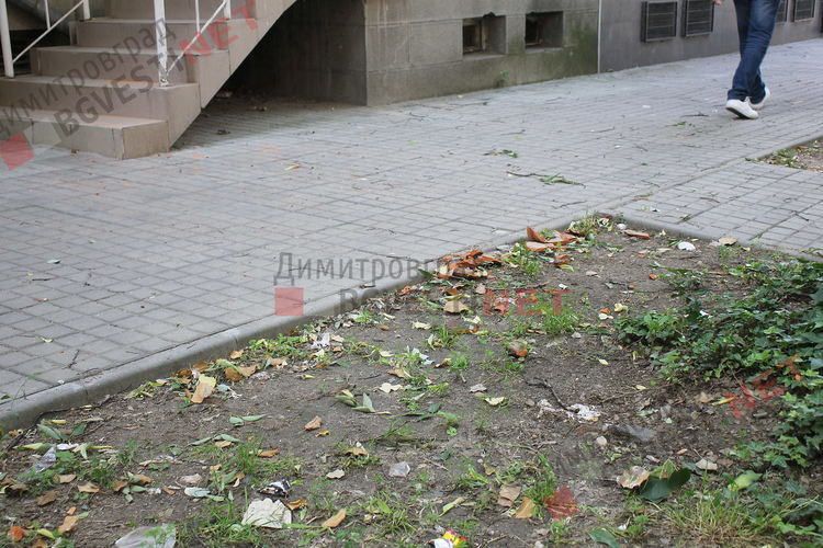 Част от керемидата която едва не повали жена