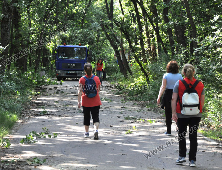 Служители на „Екопрогрес“ рязаха опасни клони и сухи дървета в „Кенана“