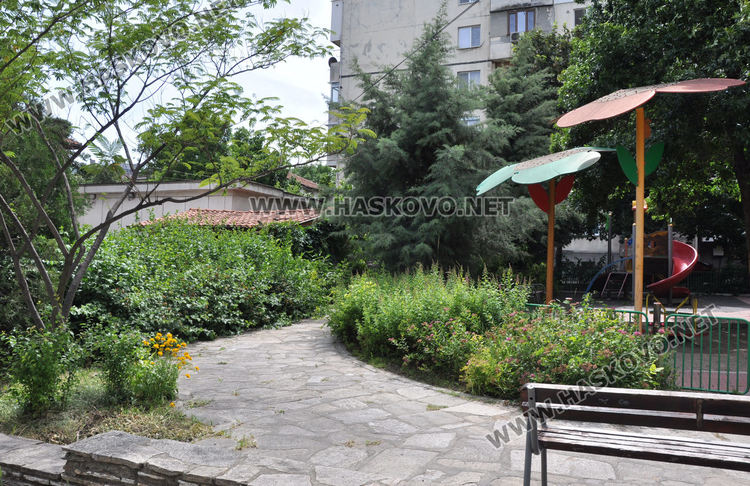 Силният вятър пречупи клони в Хасково