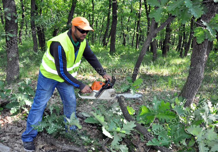 Служители на „Екопрогрес“ рязаха опасни клони и сухи дървета в „Кенана“