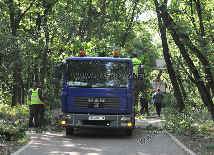 Служители на „Екопрогрес“ рязаха опасни клони и сухи дървета в „Кенана“