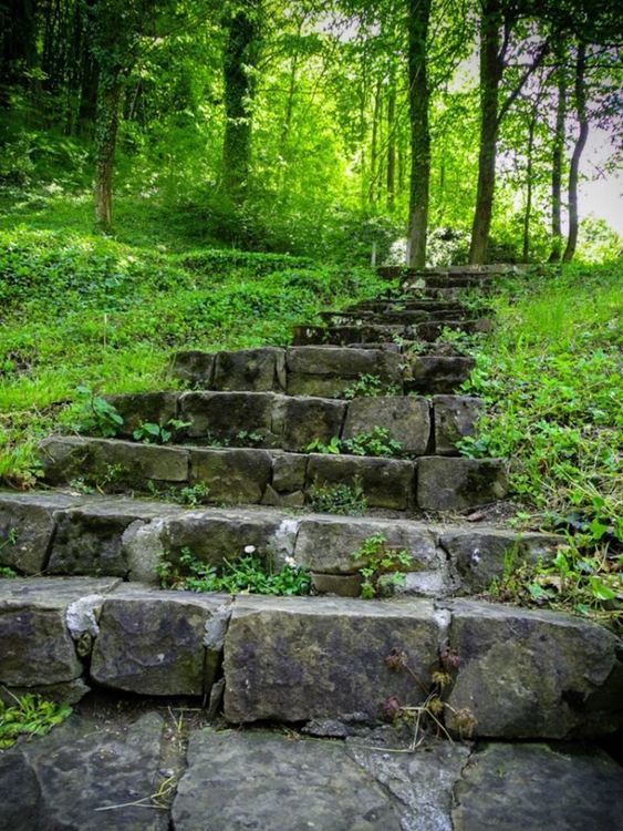 сн: Дийна Гълъбова