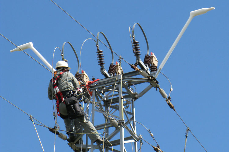 Проект на EVN "Живот за царския орел" с номинация за награда от Европейската комисия