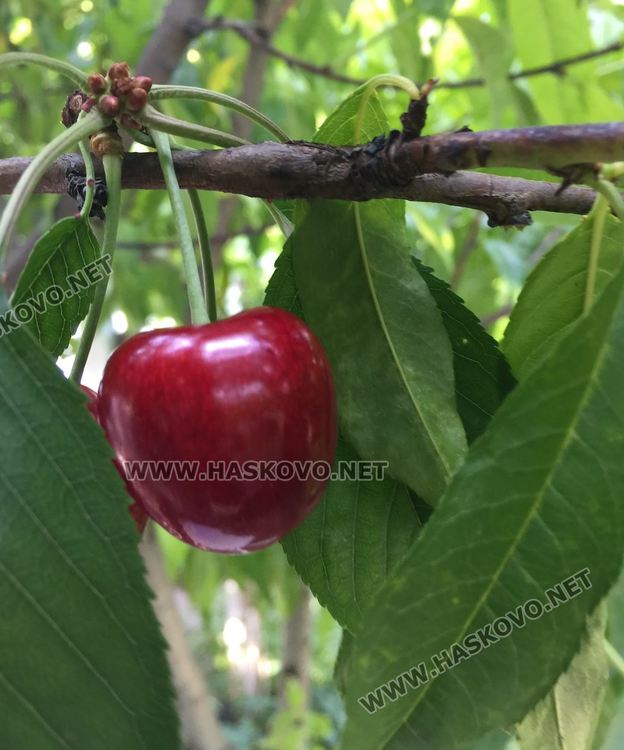 Предимно облачно в неделя