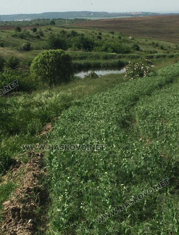 От вилите в "Куба" се жалват от зловония. Твърдят, че са от незаконна тръба към микроводоем