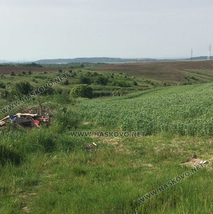 От вилите в "Куба" се жалват от зловония. Твърдят, че са от незаконна тръба към микроводоем