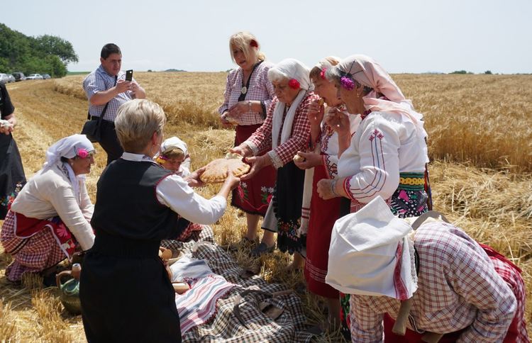 В Навъсен зажънаха класовете