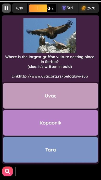 Ученик от Гимназията по туризъм с второ място от международна онлайн викторина