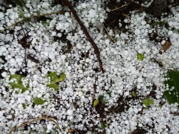 Градушка удари в община Минерални бани, пороен дъжд в Хасково (видео)