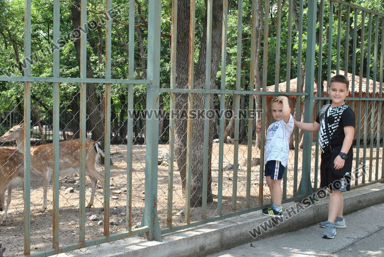 Еленче се роди в хасковския зоопарк, очакват още 5 