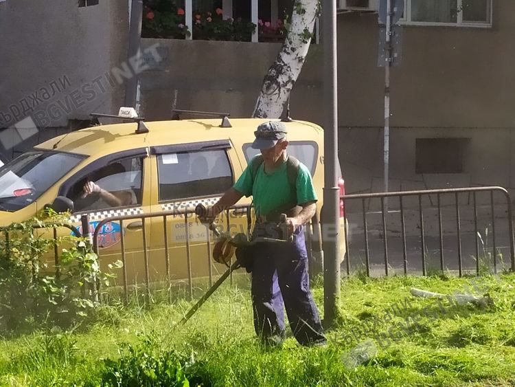 Усилено косят зелените площи в Кърджали, днес пръскат за кърлежи