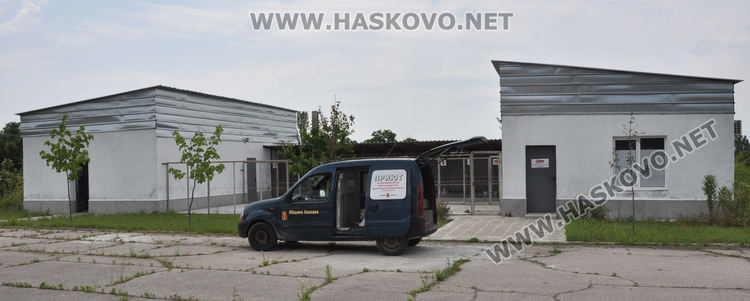 16 кучета са осиновени от приюта в Хасково