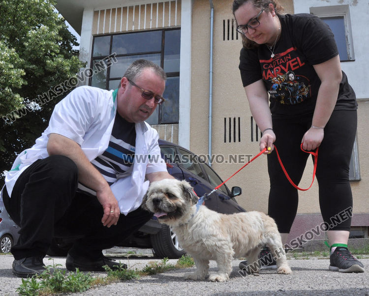 16 кучета са осиновени от приюта в Хасково